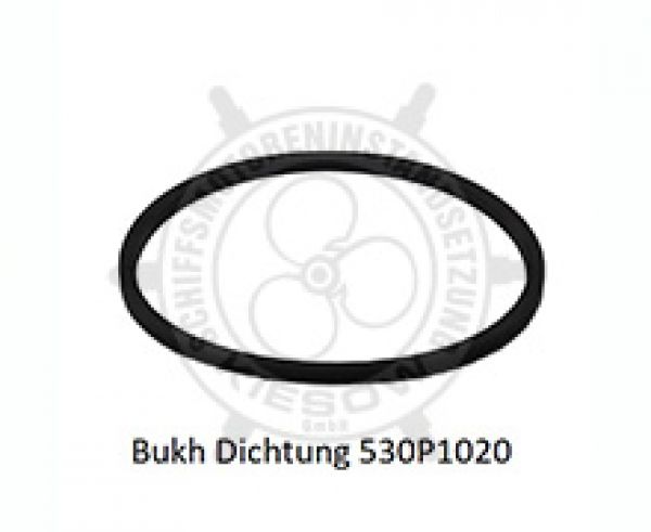 Dichtung (für Kraftstofffilter 610D0053)